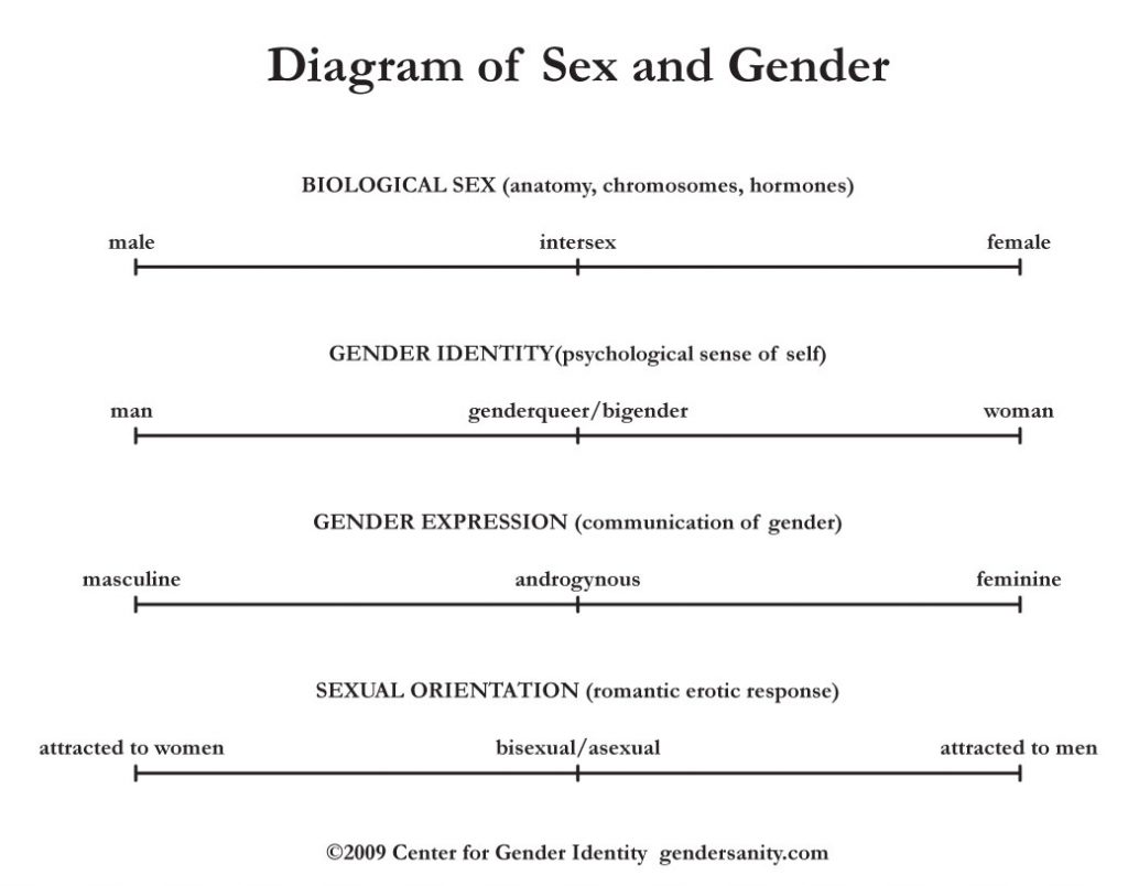 Diagram Of Sex And Gender Cultural Bridges To Justice